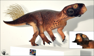 Revised life reconstruction of Psittacosaurus sp. SMF R 4970 based on the results of the two recent studies. Credit: Bob Nicholls/Paleocreations
